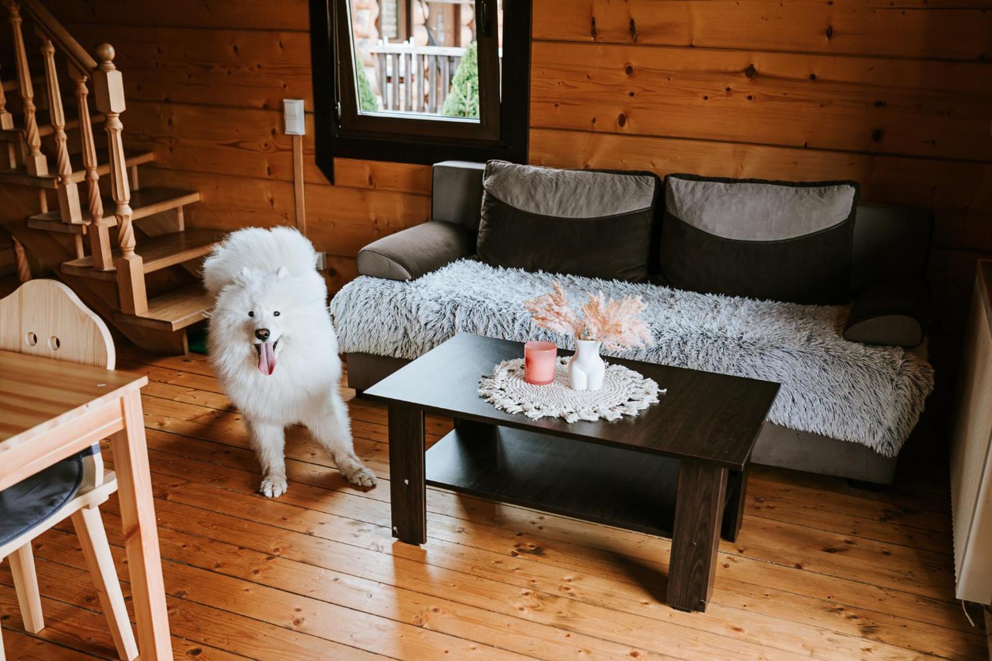 Domki,,Chatki Goralskie " รับกา ภายนอก รูปภาพ