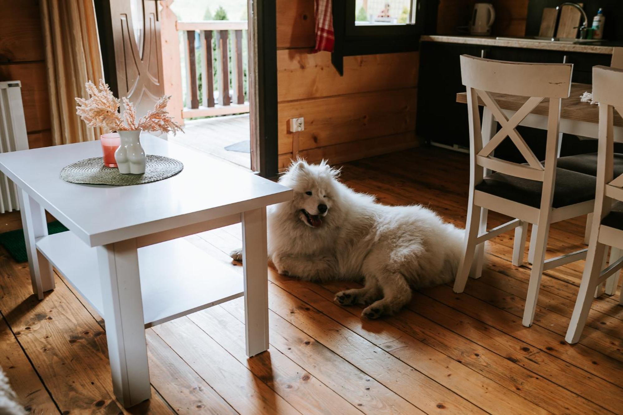 Domki,,Chatki Goralskie " รับกา ภายนอก รูปภาพ